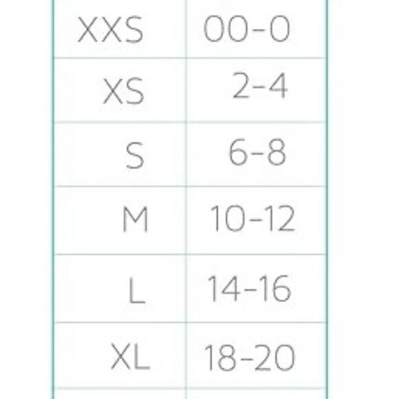 NWT LuLaRoe Amelia Dress Size M Floral Pink Black - Picture 2 of 2